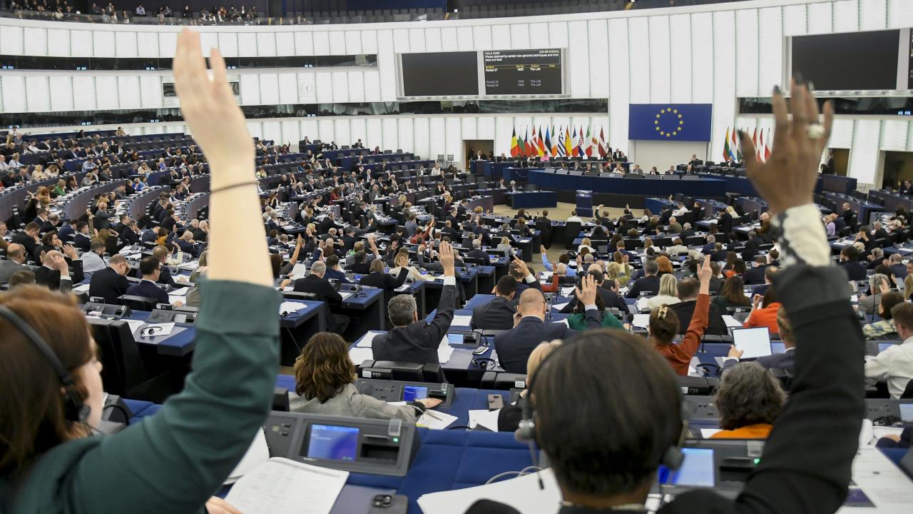 Alla svenska partier utom ett röstar nästan alltid som sina partigrupper i omröstningarna i EU-parlamentet 2019-2024. Arkivbild. 