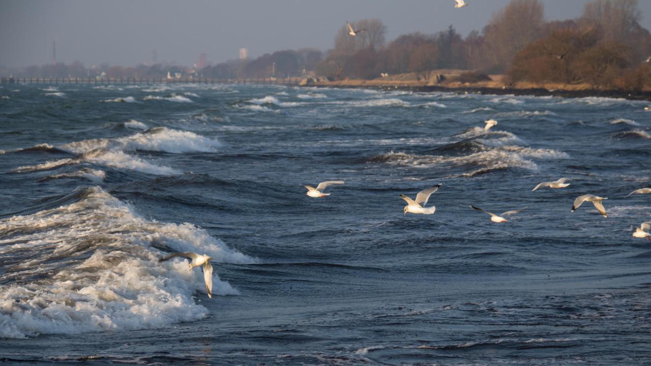2007 enades de nio länderna med kust mot Östersjön om att till år 2021 vidta en rad åtgärder för att förbättra havsmiljön. Arkivbild.