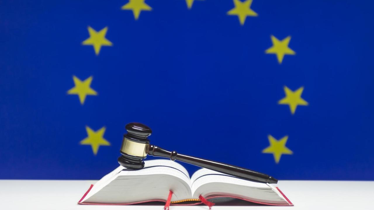 Innan årsskiftet måste EU-parlamentet och medlemsländerna enas om mekanismen. Arkivbild.