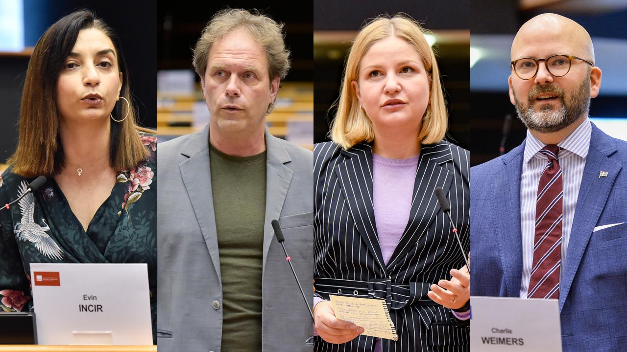 Stor oenighet mellan svenska Europaparlamentariker huruvida EU:s utrikeschef Josep Borrells borde avgå eller ej.