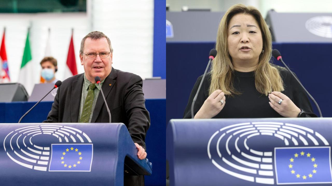 EU-parlamentariker Erik Bergkvist (S) och Jessica Polfjärd (M). Arkivbild.
