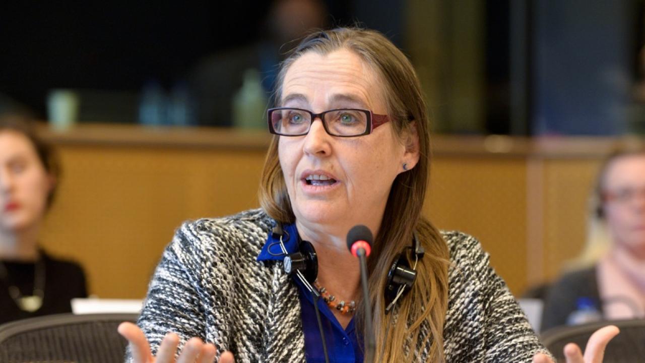 Miljöpartiet i EU-parlamentet stödjer inte svenska regeringens linje om PNR. På bilden EU-parlamentariker Bodil Valero (MP). Arkivbild.