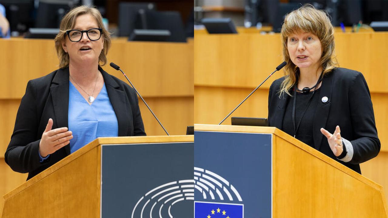 Energisäkerhet och guldpass är frågor som EU-parlamentarikerna Karin Karlsbro (L) och Malin Björk (V) ska säga sitt om nästa vecka i Strasbourg. 
