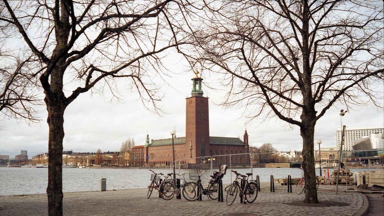 Eurofound nätundersökning visar att Sverige klarat sig relativt bra under coronakrisen. Arkivbild.