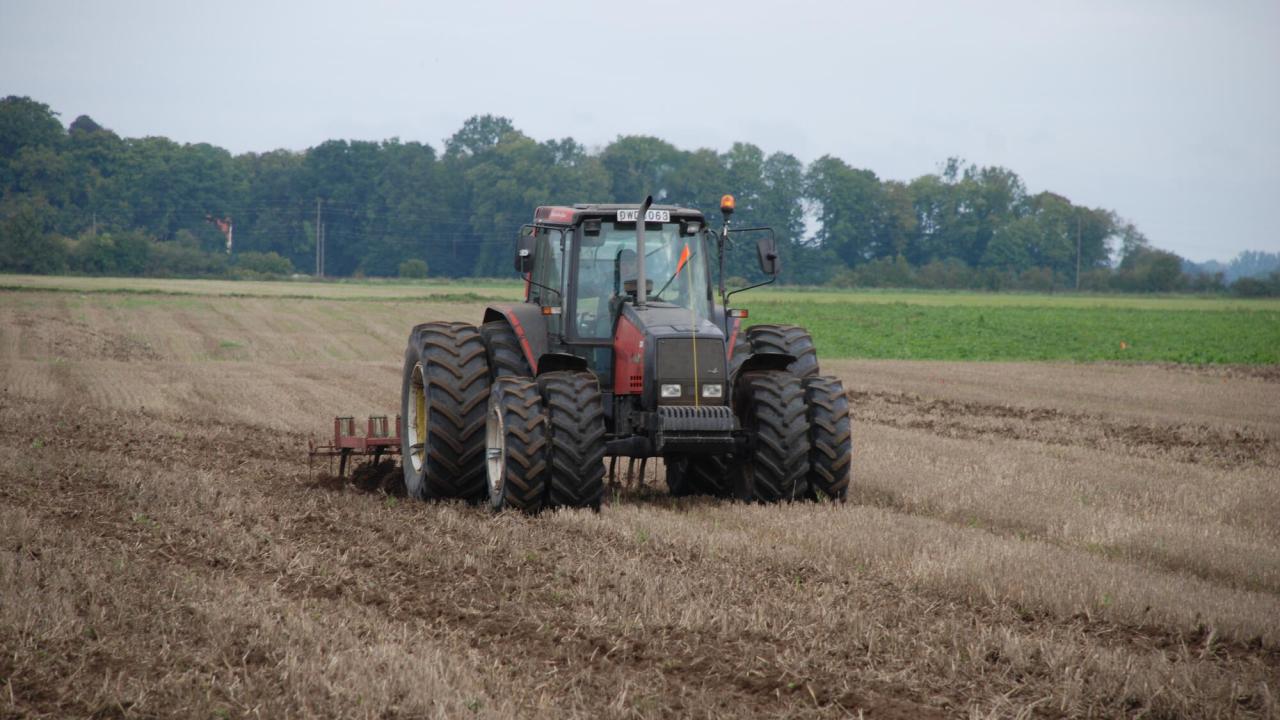 En eventuell minskning på 500 miljoner i jordbruksstöd  motsvarar nästan tio procent av svenska bönders nettoinkomst per år. Arkivbild