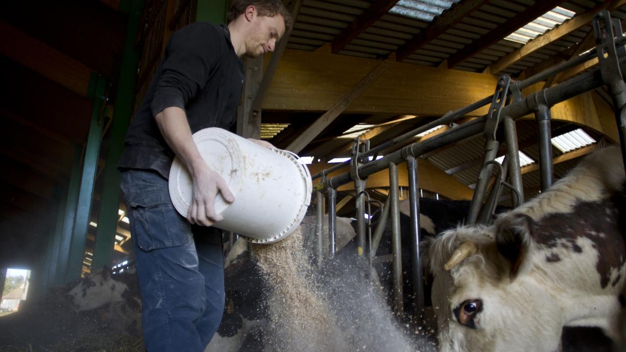 EU-kommissionen vill stödja inte minst unga loch småskaliga lantbrukare. Arkivbild.