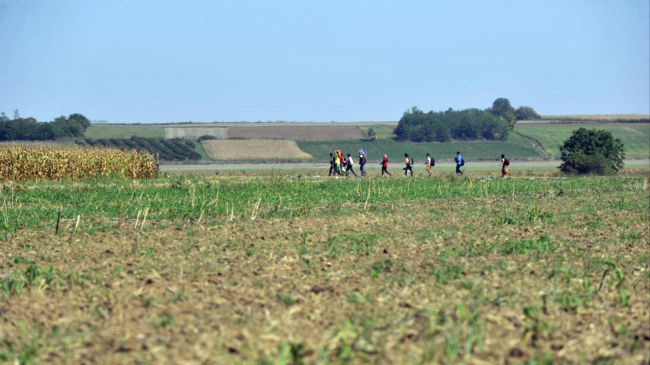 Över en miljon personer som visas i EU-länderna har fått besked att lämna mellan 2021 och andra halvan av 2023. Arkivbild.