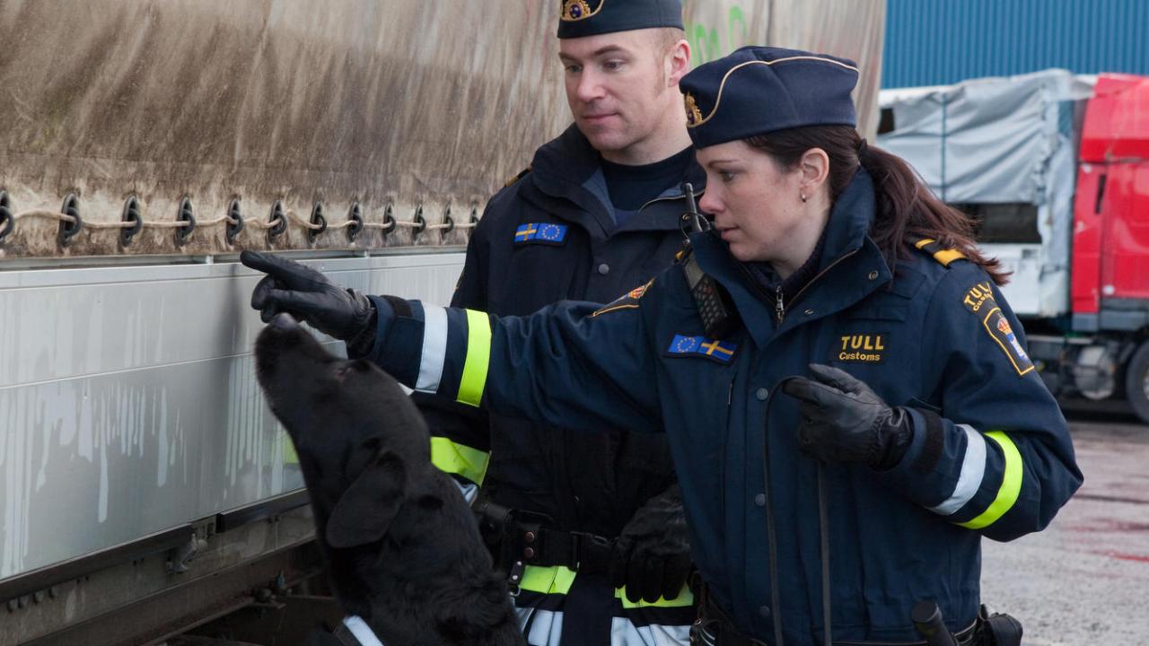 Efter hård kritik från EU-inspektörer måste svensk gränspolis och Tullverket förbättra gränskontrollerna.