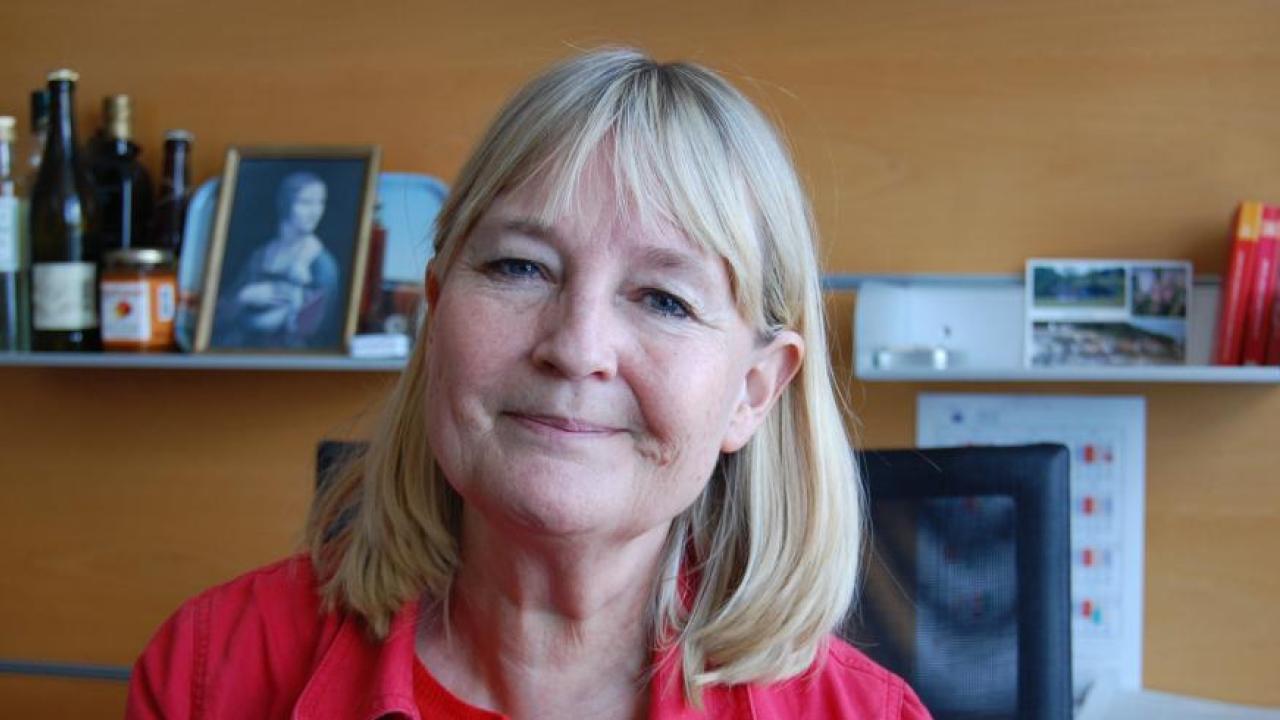 Europaparlamentariker Marita Ulvskog (S). Arkivbild.