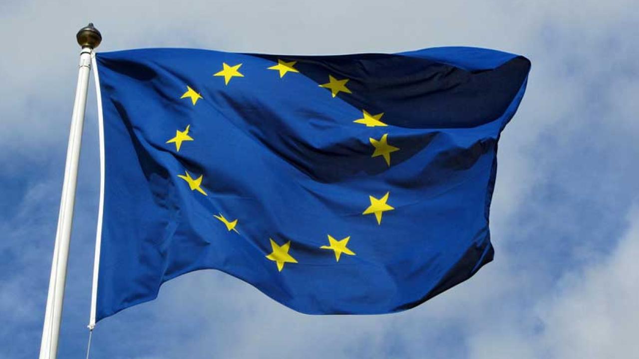 Sverige bör göra en EU-utvärdering som Nederländerna. Det skulle gynna debatten. Det skriver Vladan Lausevic.