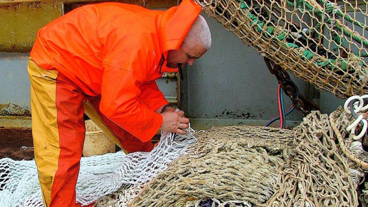 Arkivbild. EU:s fiskeavtal bidrar redan idag till ett överutnyttjande av havets resurser, skriver Jonas Sjöstedt (V).