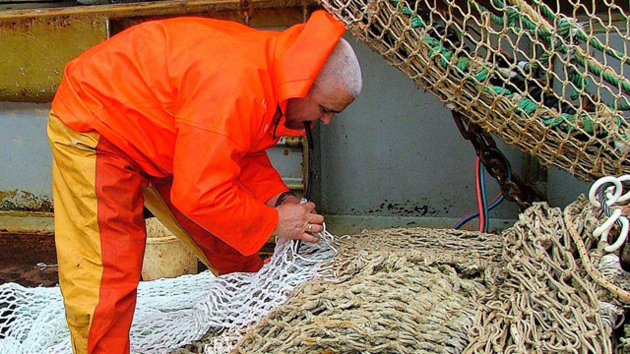 Några EU-länder bromsar ett heltäckande utkastförbud av fisk i unionen.