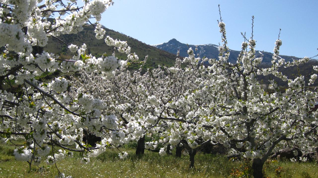 Tre ekonomiinstitut förutspår att tillväxten blir positiv i euroländerna under sommaren..