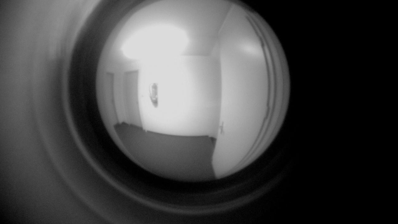 Politiker har svårt att styra över hur säkerhetssamarbetet i praktiken fungerar.