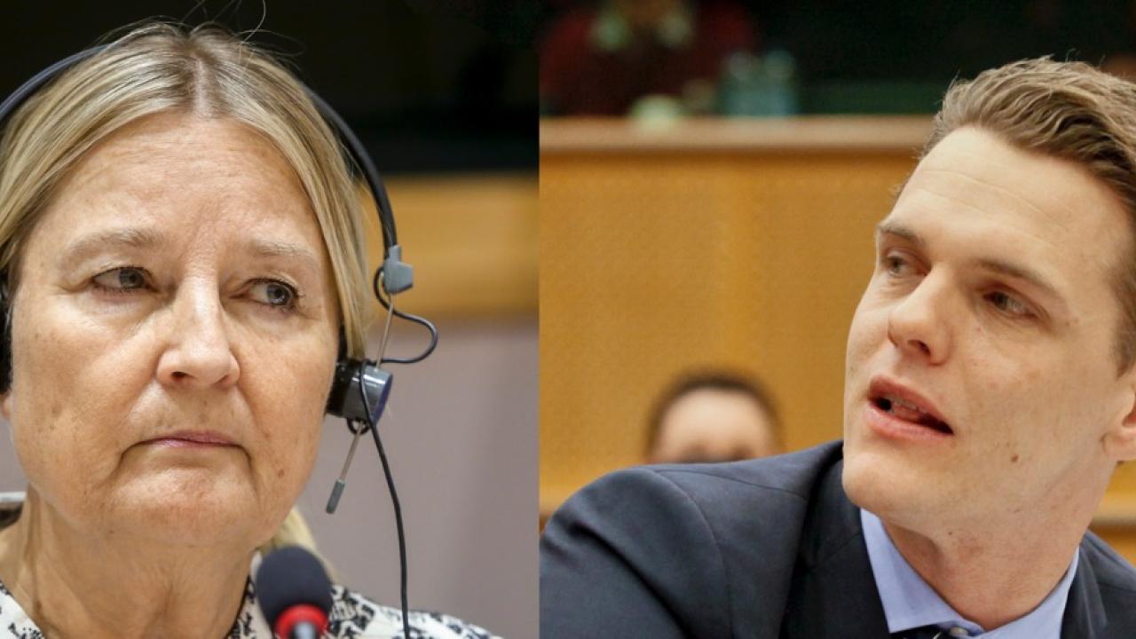 EU-parlamentarikerna Marita Ulvskog (S) och Christofer Fjellner (M). 