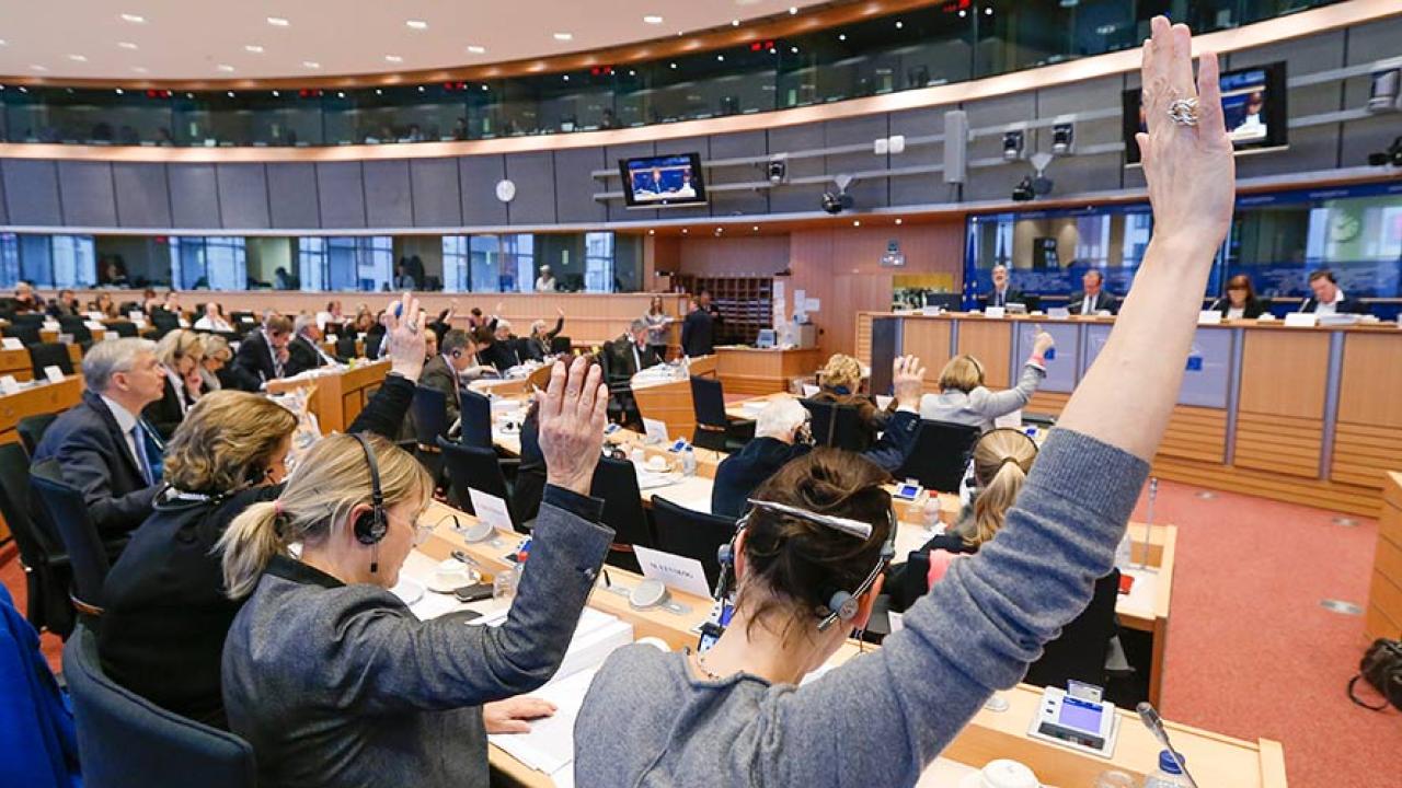 I utskotten genomförs mycket av det dagliga arbetet i EU-parlamentet. Arkivbild.