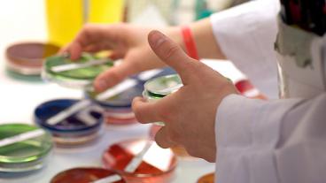 Foto: Jan Fredrik Frantzen