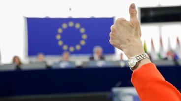 Flera svenska europaparlamentariker går emot regeringens och riksdagens position när de vill höja EU:s budget.  